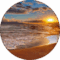 Alecia Harrison Avatar